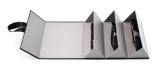 Trifecta Travel Case