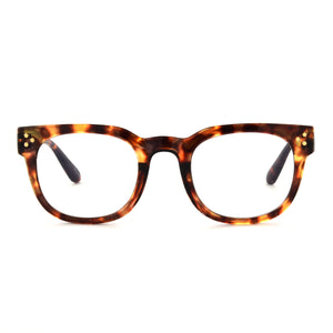 Unmagnified / Tortoise