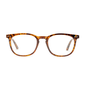 Bifocal / 1.25 / Tortoise
