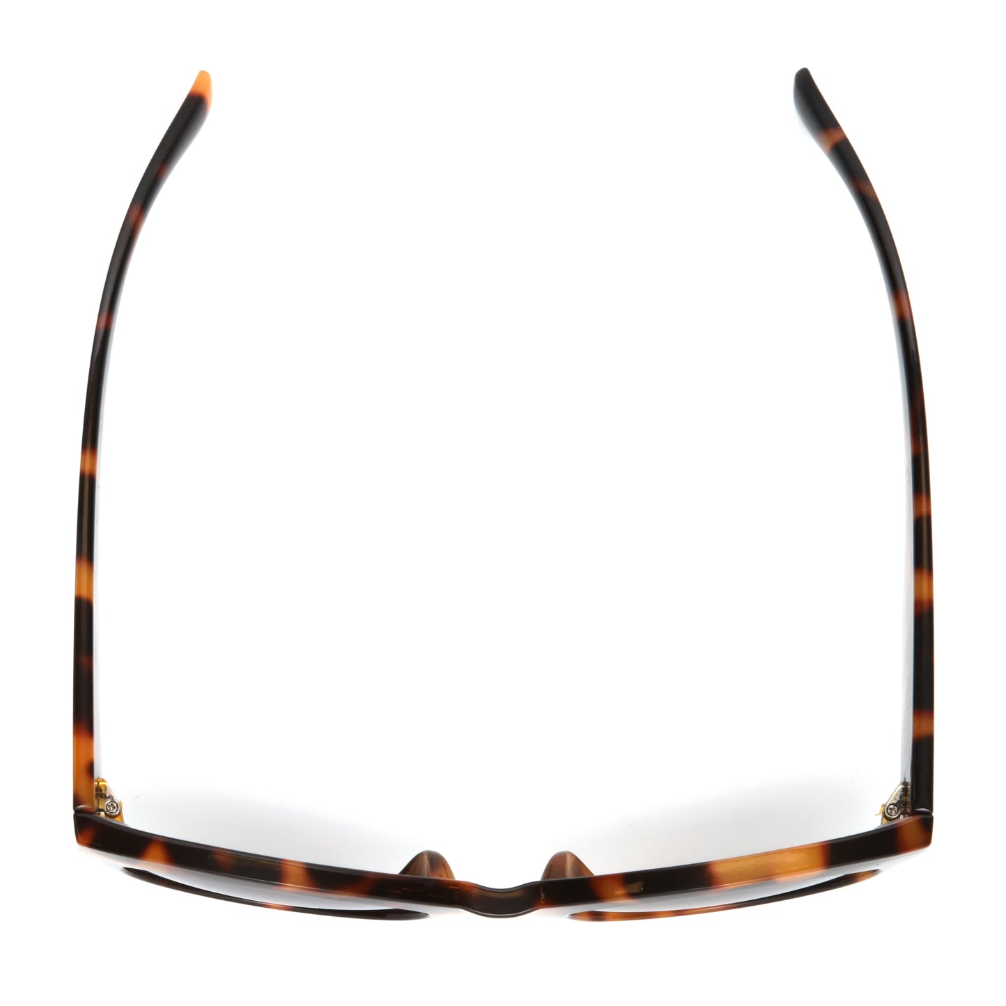 Sydney Sunglasses