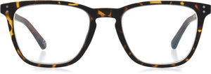 Unmagnified / Tortoise