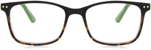 Multifocal / 1.00 / Tortoise