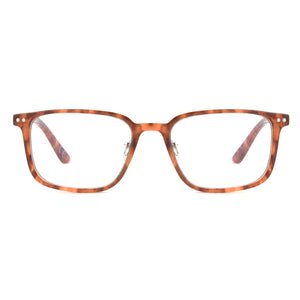 Unmagnified / Tortoise