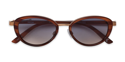 B U 2DAY - Sun - Unmagnified - Brown - Variant Link
