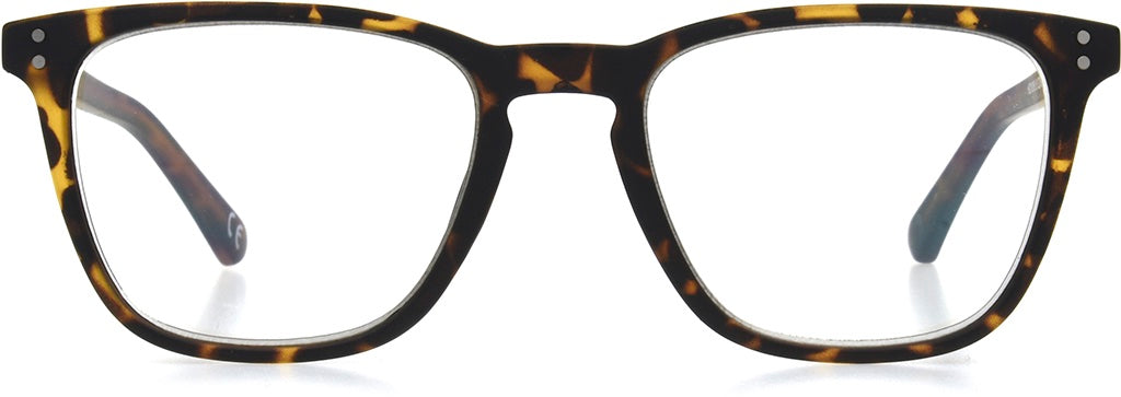 Braxton - Reader - Unmagnified - Tortoise - Variant Link