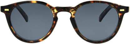 Easton Polarized - Sun - Unmagnified - Tortoise - Variant Link