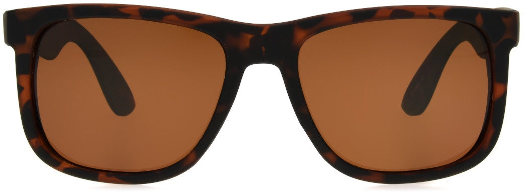 POL 4 - Sun - Unmagnified - Tortoise - Variant Link