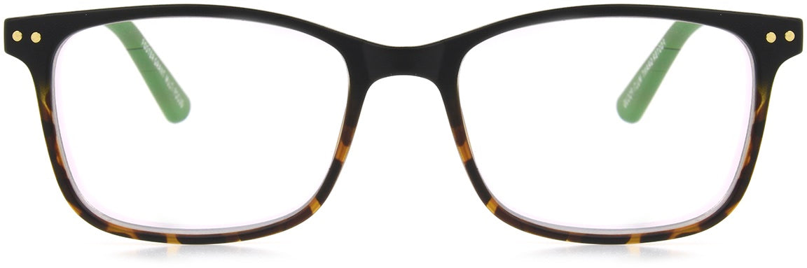 Troy - Reader - Multifocal - Tortoise - Variant Link